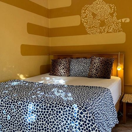 Paradisegarden Backpackers Βίντχουκ Εξωτερικό φωτογραφία
