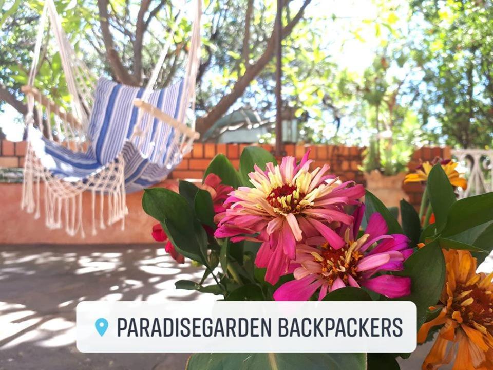 Paradisegarden Backpackers Βίντχουκ Εξωτερικό φωτογραφία