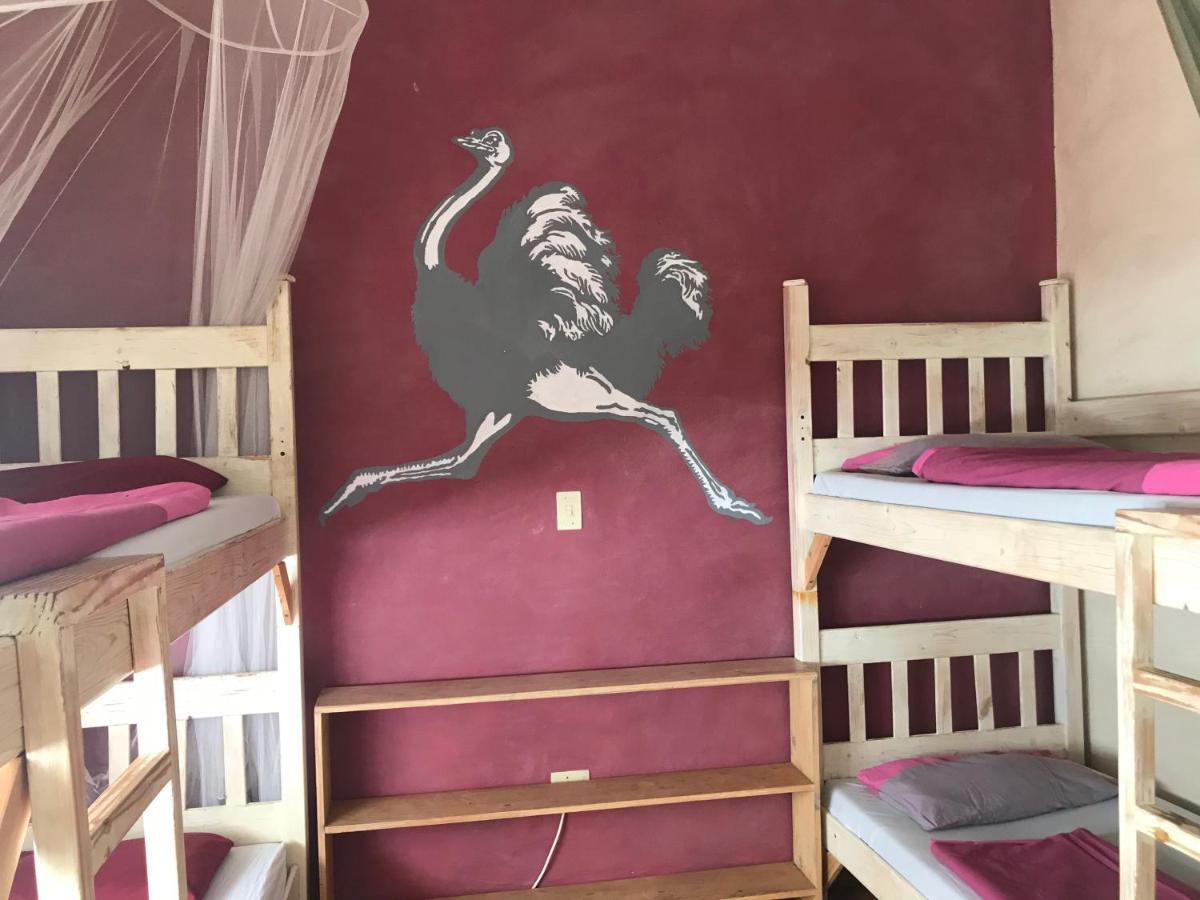 Paradisegarden Backpackers Βίντχουκ Εξωτερικό φωτογραφία