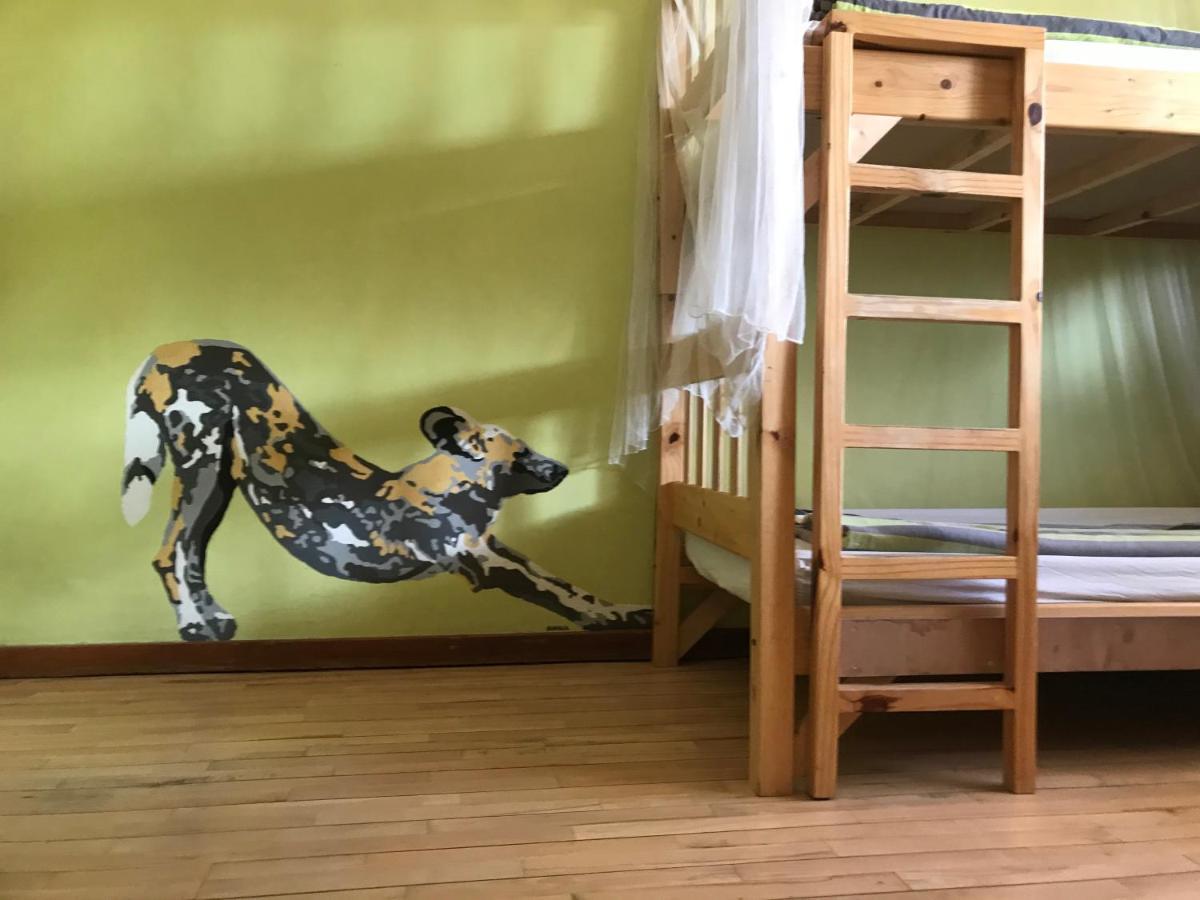 Paradisegarden Backpackers Βίντχουκ Εξωτερικό φωτογραφία