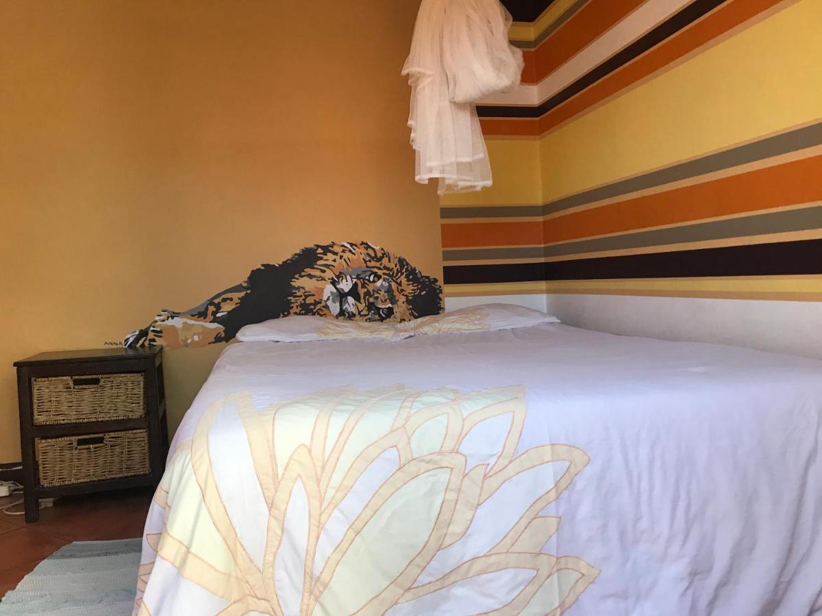 Paradisegarden Backpackers Βίντχουκ Εξωτερικό φωτογραφία