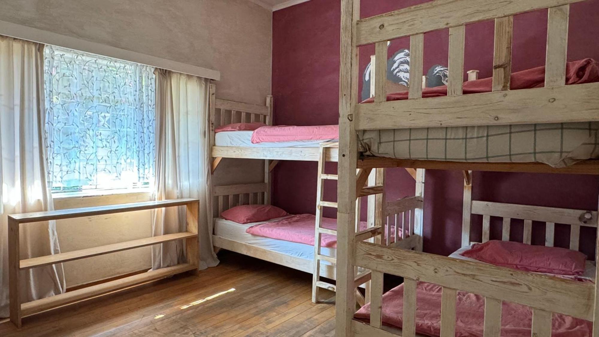 Paradisegarden Backpackers Βίντχουκ Εξωτερικό φωτογραφία