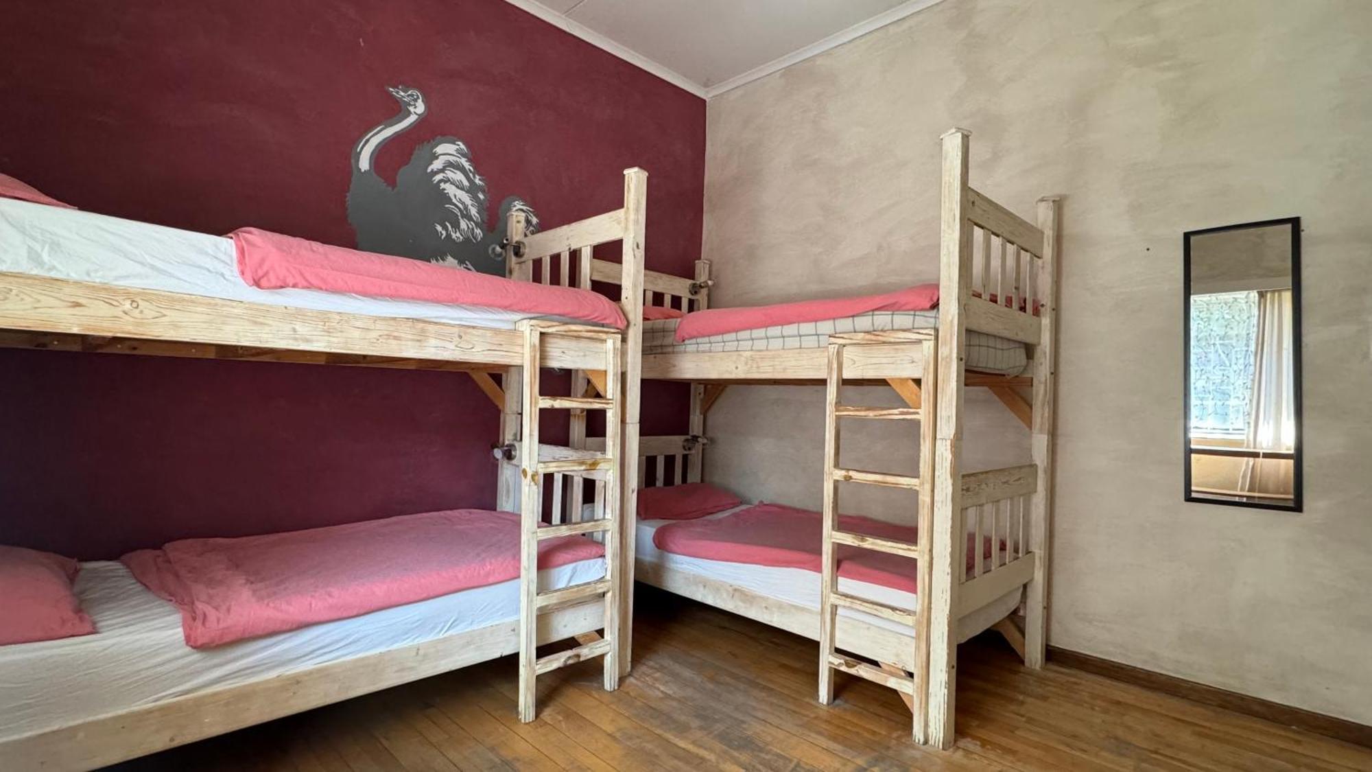 Paradisegarden Backpackers Βίντχουκ Εξωτερικό φωτογραφία